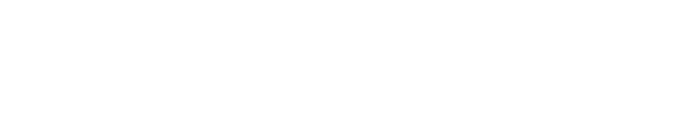 Logo Blanc Rollakin